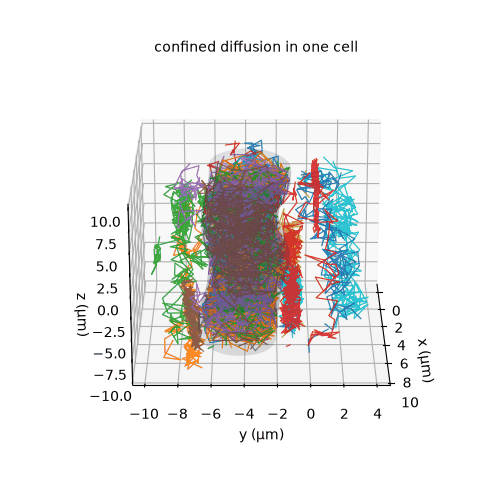 Walker paths confined inside a transparent mesh cell, rotating.