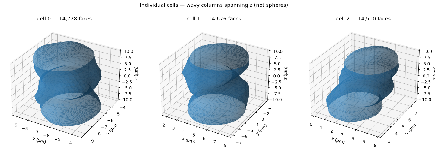 Three cells extracted from the pack: undulating columns, not spheres.