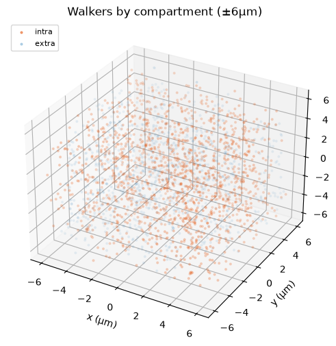 Walkers coloured by compartment in a 3-D sub-box.
