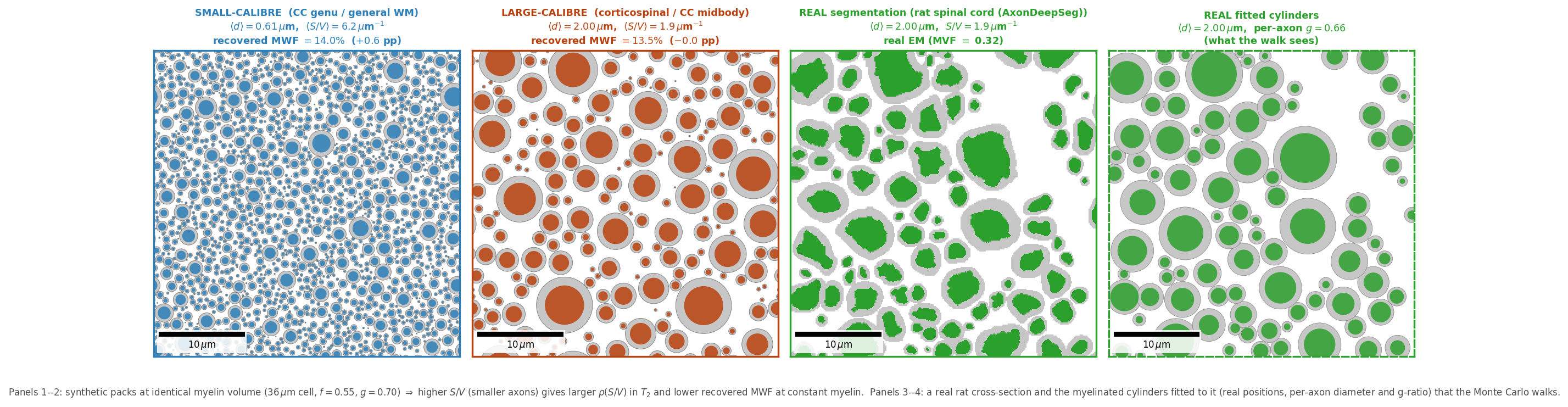 Synthetic packs at identical myelin volume — smaller axons pack more extra-axonal surface, so higher S/V and a lower recovered MWF; plus a real rat-SEM cross-section and the cylinders fitted to it.