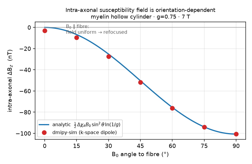 Intra-axonal off-resonance field vs B0-to-fibre angle: Monte-Carlo on the analytic sin²θ law, zero at parallel.